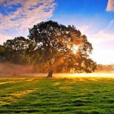 Rachelle Ann Go avatar